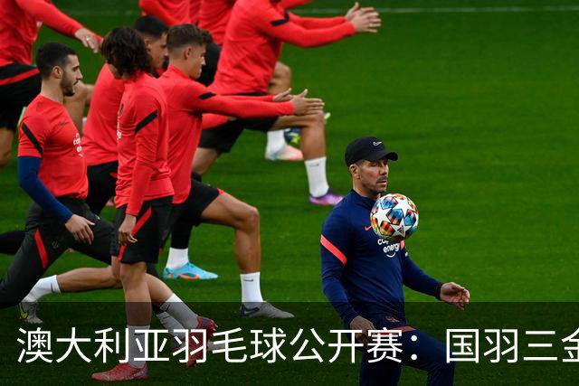 澳大利亚羽毛球公开赛：国羽三金两银收官